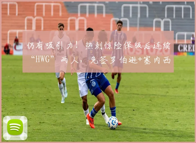 仍有吸引力！热刺惊险保级后连续“HWG”两人，免签罗伯逊+塞内西
